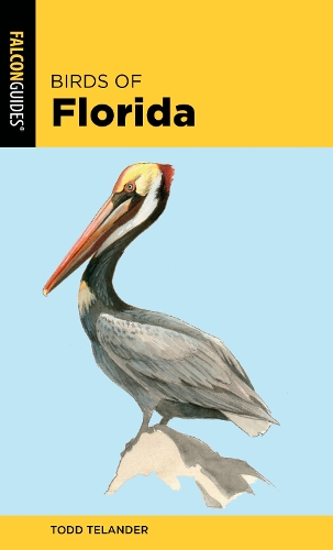 Бумажная книга «Birds of Florida», автор Тодд Теландер - фото №1