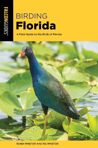 Паперова книга «Birding Florida: A Field Guide to the Birds of Florida», авторів Нік Мінетор, Ренді Мінетор - фото №1