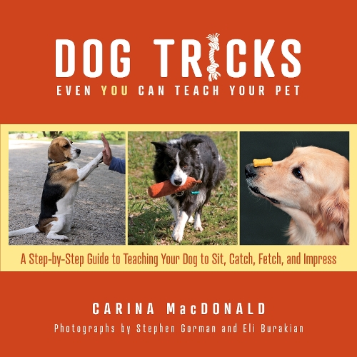 Бумажная книга «Dog Tricks Even You Can Teach Your Pet: A Step-by-Step Guide to Teaching Your Pet to Sit, Catch, Fetch, and Impress», автор Карина Макдональд - фото №1