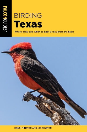 Паперова книга «Birding Texas», авторів Нік Мінетор, Ренді Мінетор - фото №1