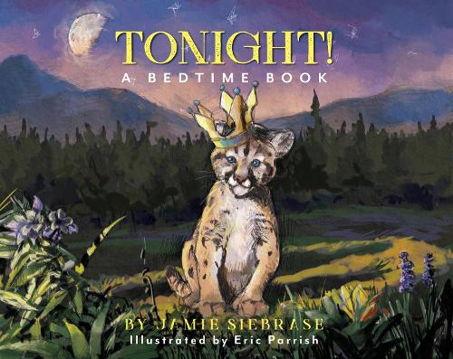 Бумажная книга «Tonight!: A Bedtime Book», автор Джейми Сибрас - фото №1