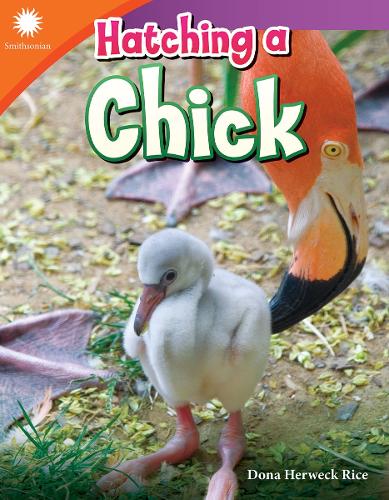 Бумажная книга «Hatching a Chick», автор Дона Хервек Райс - фото №1