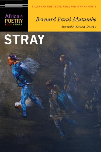 Паперова книга «Stray», автор Бернар Фараї Матамбо - фото №1