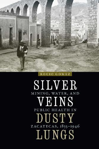 Бумажная книга «Silver Veins, Dusty Lungs: Mining, Water, and Public Health in Zacatecas, 1835–1946», автор Росио Гомес - фото №1