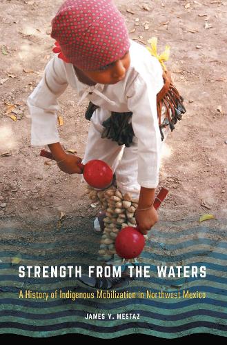 Бумажная книга «Strength from the Waters: A History of Indigenous Mobilization in Northwest Mexico», автор Джеймс В. Местаз - фото №1