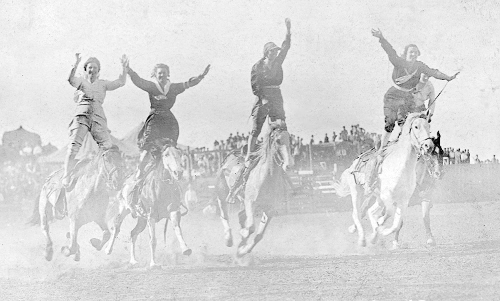 Бумажная книга «Twisting in Air: The Sensational Rise of a Hollywood Falling Horse», автор Кэрол Брэдли - фото №1