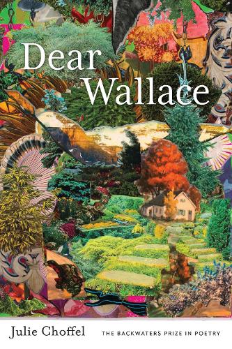 Бумажная книга «Dear Wallace», автор Джули Чоффел - фото №1