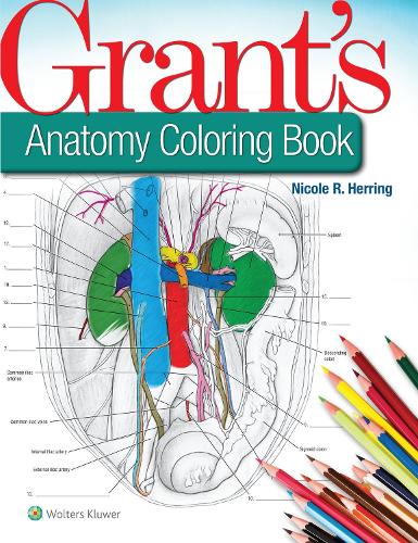 Paper book «Grant's Anatomy Coloring Book», author Nicole R. Herring - фото №1