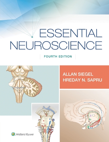 Paper book «Essential Neuroscience», authors Allan Siegel, Hreday N. Sapru - фото №1