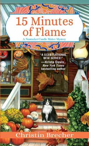 Бумажная книга «15 Minutes of Flame», автор Кристин Бречер - фото №1