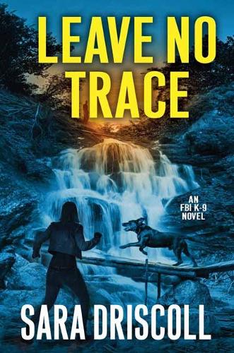 Бумажная книга «Leave No Trace», автор Сара Дрисколл - фото №1