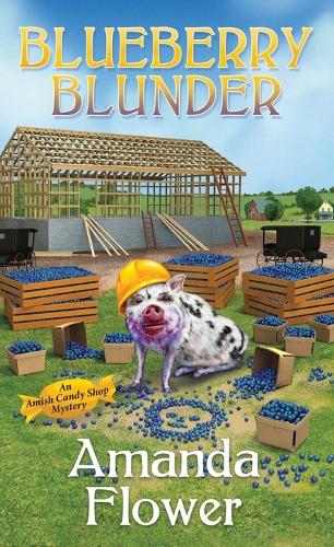 Паперова книга «Blueberry Blunder», автор Аманда Флауер - фото №1