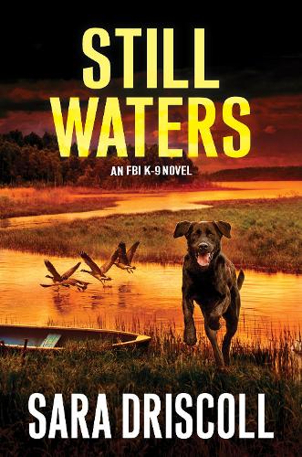 Бумажная книга «Still Waters: A Riveting Novel of Suspense», автор Сара Дрисколл - фото №1