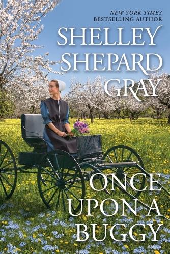 Паперова книга «Once Upon a Buggy», автор Шеллі Шепард Грей - фото №1