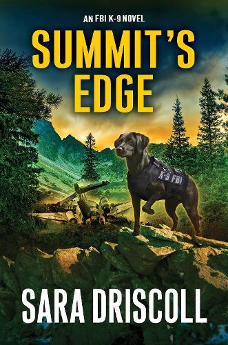 Паперова книга «Summit’s Edge», автор Сара Дрісколл - фото №1