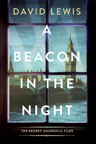 Paper book «A Beacon in the Night», author David Lewis - фото №1