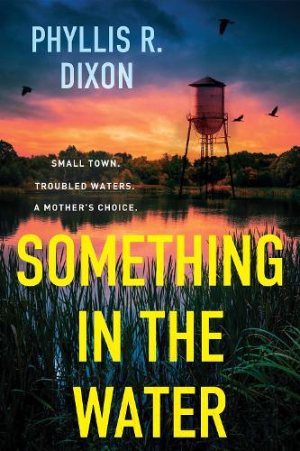 Бумажная книга «Something in the Water», автор Филлис Р. Диксон - фото №1