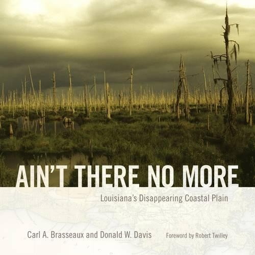 Паперова книга «Ain't There No More: Louisiana's Disappearing Coastal Plain», авторів Карл А. Брассо, Дональд В. Девіс - фото №1