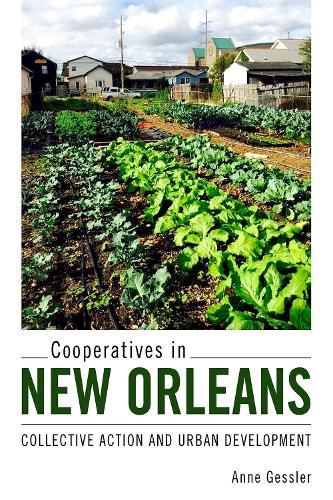 Бумажная книга «Cooperatives in New Orleans: Collective Action and Urban Development», автор Энн Гесслер - фото №1
