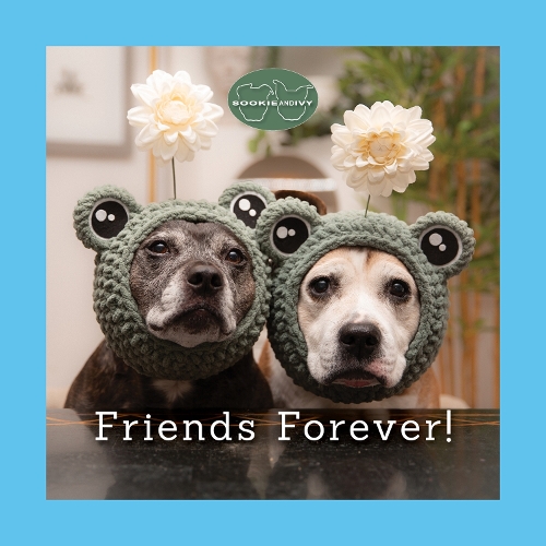 Бумажная книга «Sookie and Ivy Friends Forever!», автор Яни Оджа - фото №1