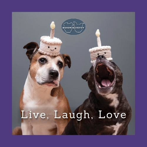 Бумажная книга «Sookie and Ivy Every Day Is a Celebration», автор Яни Оджа - фото №1