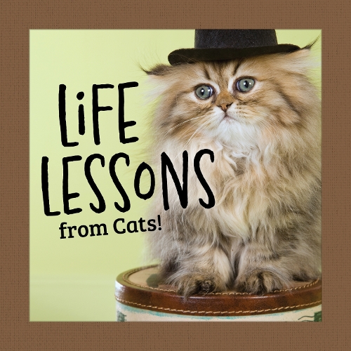Бумажная книга «Life Lessons from Cats», автор Грейс Петерсон - фото №1