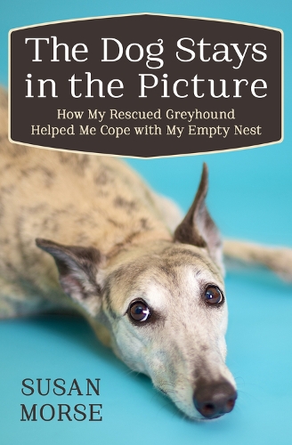 Бумажная книга «The Dog Stays in the Picture: How My Rescued Greyhound Helped Me Cope with My Empty Nest», автор Сьюзан Морс - фото №1