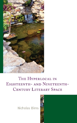 Паперова книга «The Hyperlocal in Eighteenth- and Nineteenth-Century Literary Space», автор Ніколас Бірнс - фото №1
