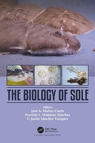 Бумажная книга «The Biology of Sole» - фото №1