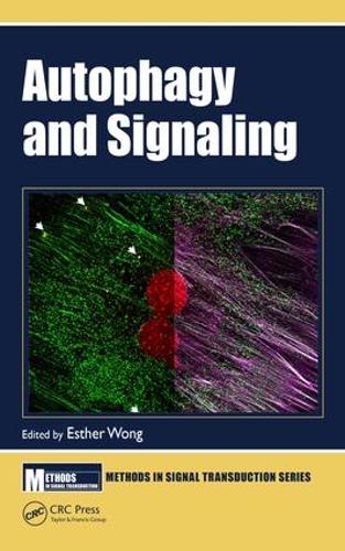 Бумажная книга «Autophagy and Signaling» - фото №1