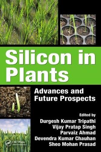Бумажная книга «Silicon in Plants: Advances and Future Prospects» - фото №1