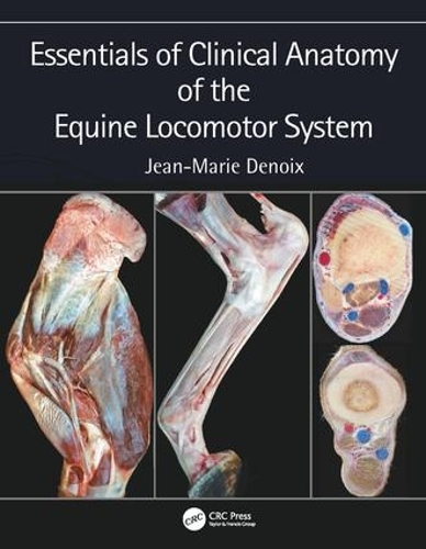 Бумажная книга «Essentials of Clinical Anatomy of the Equine Locomotor System», автор Жан-Мари Денуа - фото №1