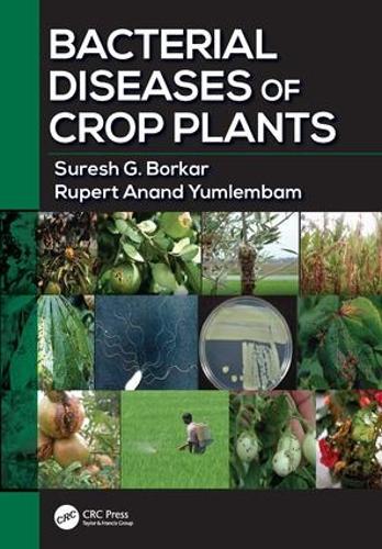 Бумажная книга «Bacterial Diseases of Crop Plants», авторов Руперт Ананд Юмлембам, Суреш Г. Боркар - фото №1