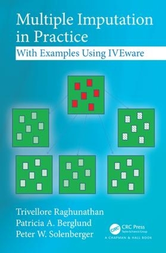 [object Object] «Multiple Imputation in Practice: With Examples Using IVEware», авторів Патриція А. Берглунд, Пітер В. Соленбергер, Трівеллор Рагхунатан - фото №1