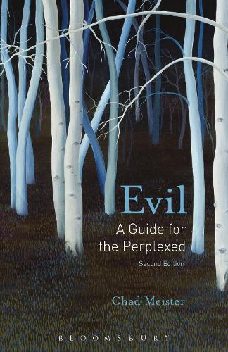 Бумажная книга «Evil: A Guide for the Perplexed», автор Чад В. Мейстер - фото №1