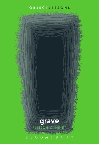 Паперова книга «Grave», автор Еллісон К. Майєр - фото №1