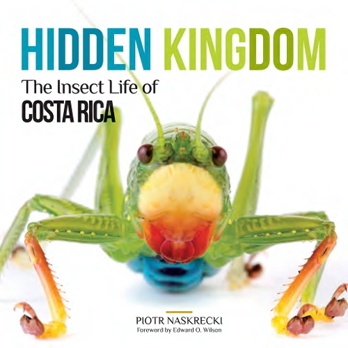 Бумажная книга «Hidden Kingdom: The Insect Life of Costa Rica», автор Петр Наскрецкий - фото №1