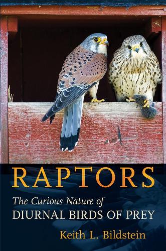 Бумажная книга «Raptors: The Curious Nature of Diurnal Birds of Prey», автор Кит Л. Бильдштейн - фото №1