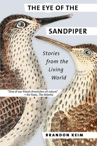 Бумажная книга «The Eye of the Sandpiper: Stories from the Living World», автор Брэндон Кейм - фото №1