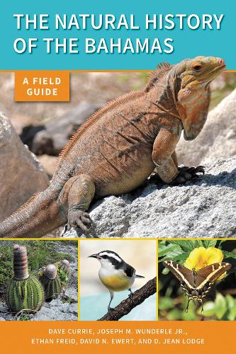 Бумажная книга «The Natural History of The Bahamas: A Field Guide», авторов Д. Джин Лодж, Дэйв Карри, Дэвид Н. Юэрт, Итан Фрейд, Джозеф М. Вундерле, мл. - фото №1