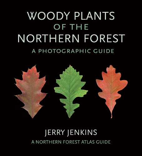 Бумажная книга «Woody Plants of the Northern Forest: A Photographic Guide», автор Джерри Дженкинс - фото №1