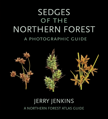 Бумажная книга «Sedges of the Northern Forest: A Photographic Guide», автор Джерри Дженкинс - фото №1