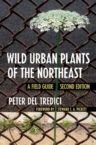 Паперова книга «Wild Urban Plants of the Northeast: A Field Guide», автор Пітер дель Тредічі - фото №1