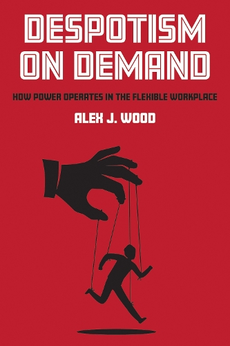 Паперова книга «Despotism on Demand: How Power Operates in the Flexible Workplace», автор Алекс Дж. Вуд - фото №1