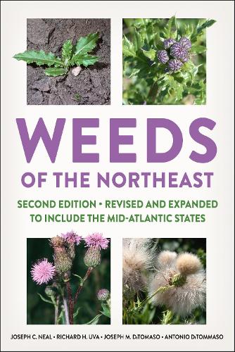 Паперова книга «Weeds of the Northeast», авторів Антоніо Ді Томмазо, Джозеф К. Ніл, Джозеф М. ДіТомазо, Річард Х. Ува - фото №1