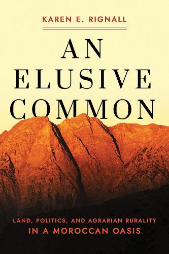Бумажная книга «An Elusive Common: Land, Politics, and Agrarian Rurality in a Moroccan Oasis», автор Карен Э. Ригналл - фото №1