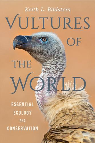 Бумажная книга «Vultures of the World: Essential Ecology and Conservation», автор Кит Л. Бильдштейн - фото №1