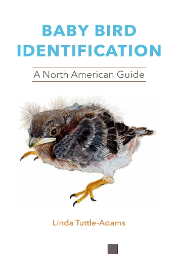 Бумажная книга «Baby Bird Identification: A North American Guide», автор Линда Таттл-Адамс - фото №1