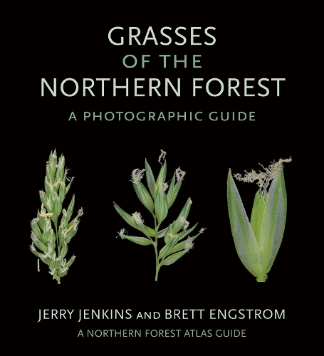 Бумажная книга «Grasses of the Northern Forest: A Photographic Guide», авторов Бретт Энгстром, Джерри Дженкинс - фото №1