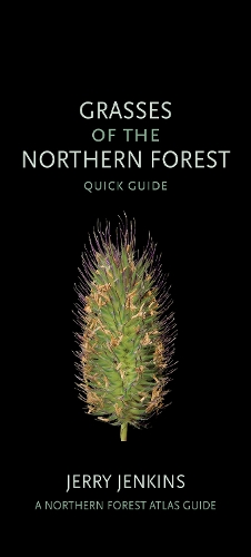 Паперова книга «Grasses of the Northern Forest: Quick Guide», автор Джеррі Дженкінс - фото №1